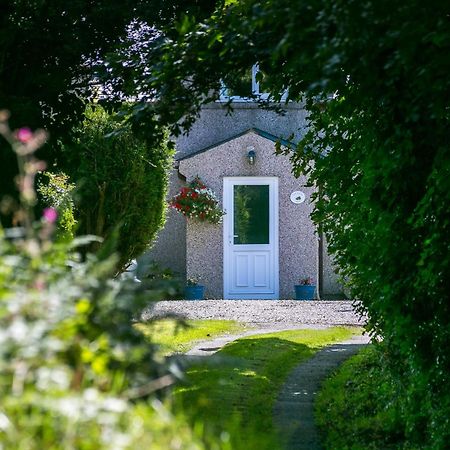 Tyn Llain B&B Llanfflewyn Экстерьер фото