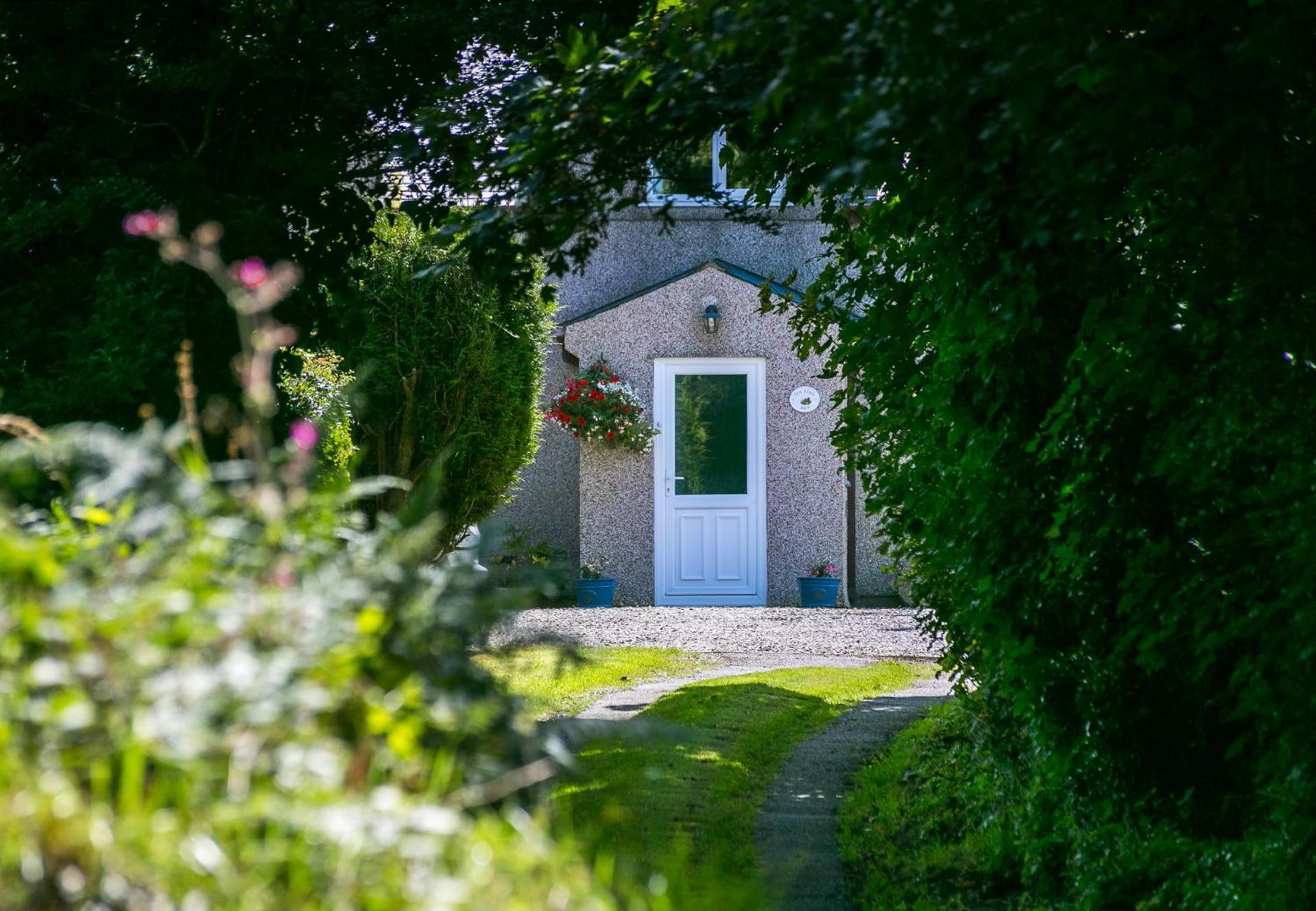 Tyn Llain B&B Llanfflewyn Экстерьер фото