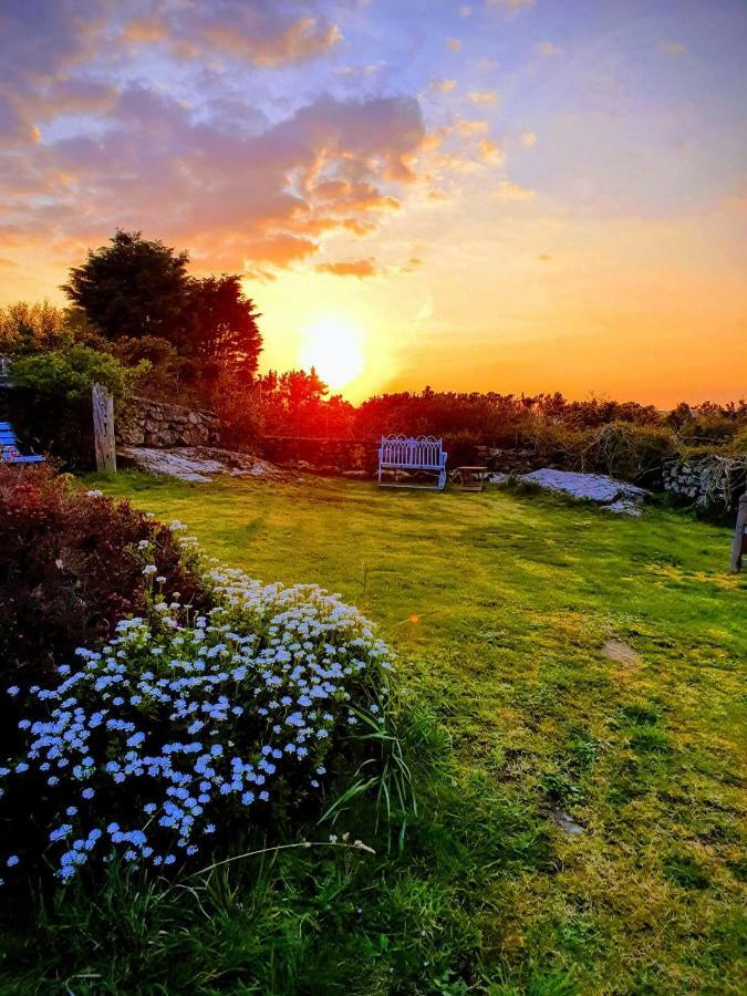 Tyn Llain B&B Llanfflewyn Экстерьер фото